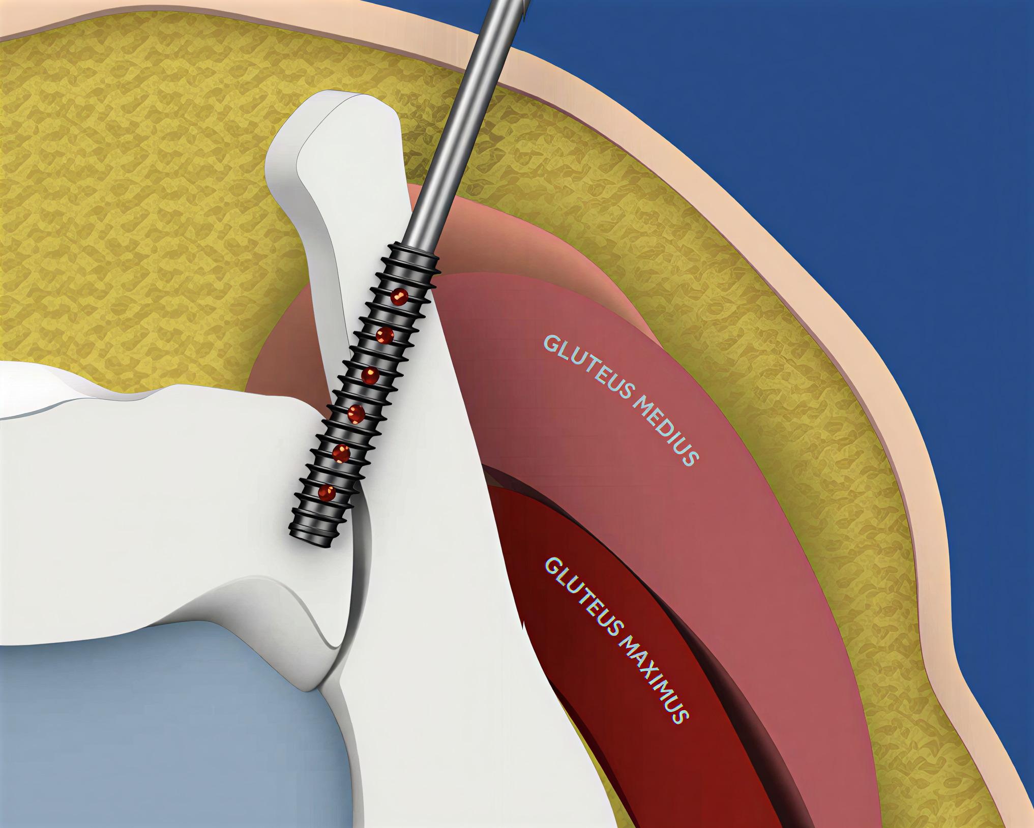 Midland Ortho Photos (12) (1)